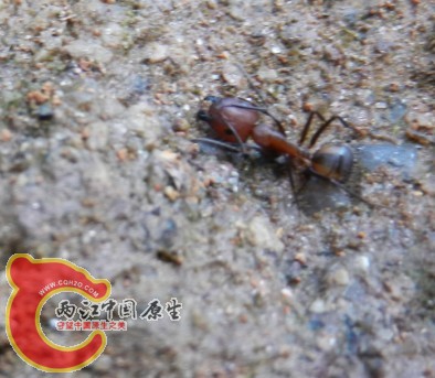 QQ图片20130711192400.jpg