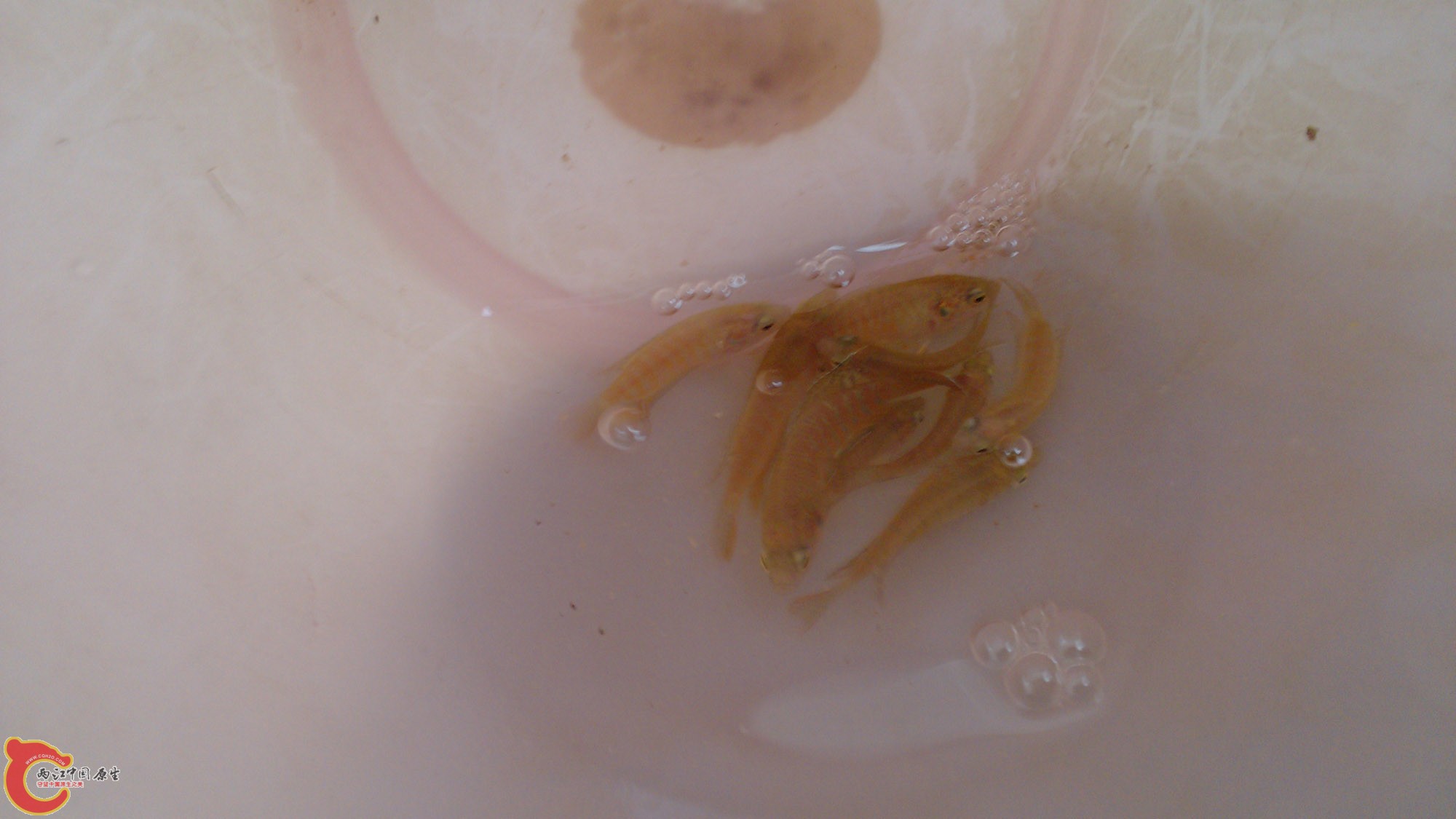 IMG_20130711_171114.jpg