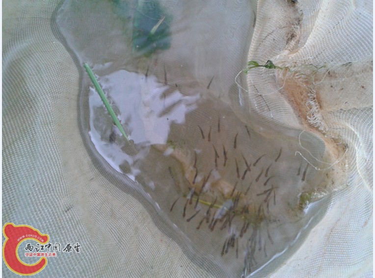 5`YO_E180NQF)O)@MQOF0MS.jpg