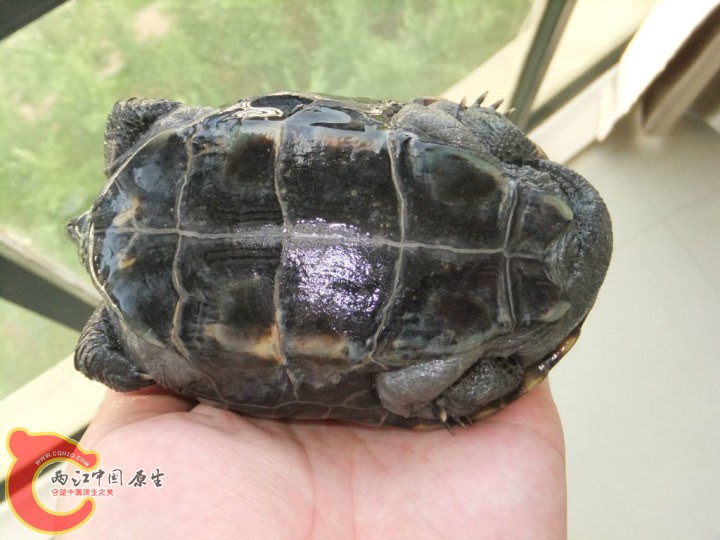 large_A0Qu_16bf00003cf6118c.jpg