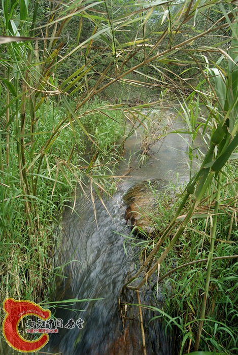 05.jpg