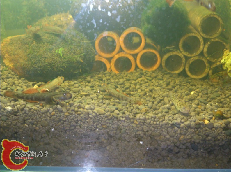 QQ图片20130715024515.jpg