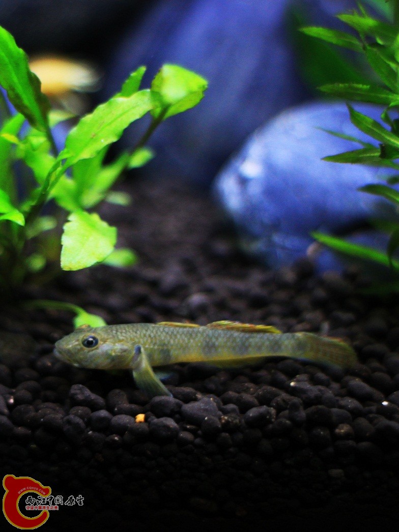 IMG_8361_副本.jpg