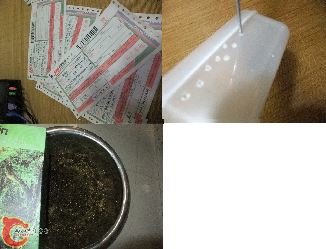 DSCF6993.JPG