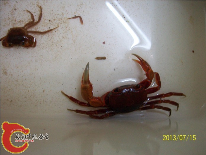 QQ图片20130716010507.jpg