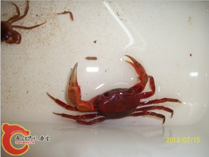 QQ图片20130716010526.jpg