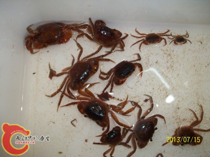 QQ图片20130716010538.jpg