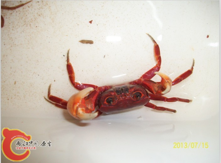 QQ图片20130716010552.jpg