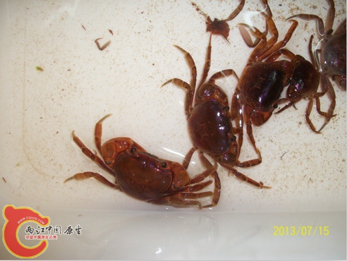 QQ图片20130716010612.jpg