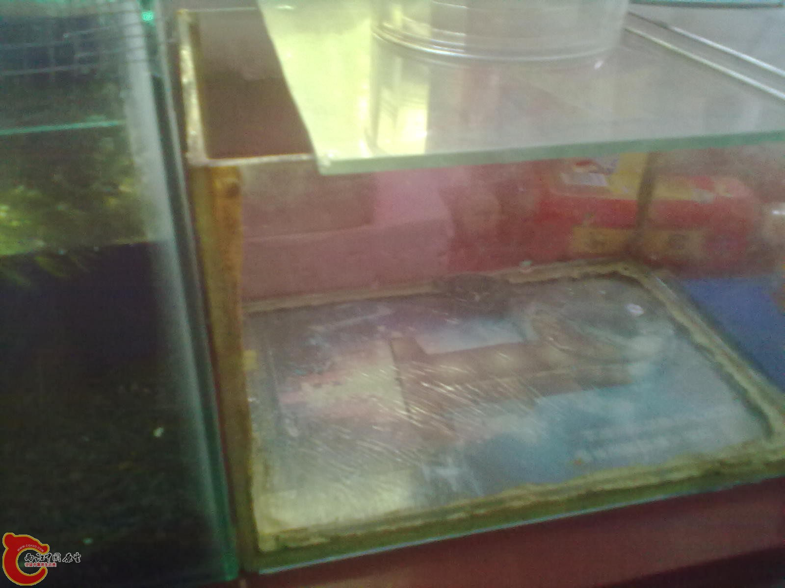 20130716081.jpg