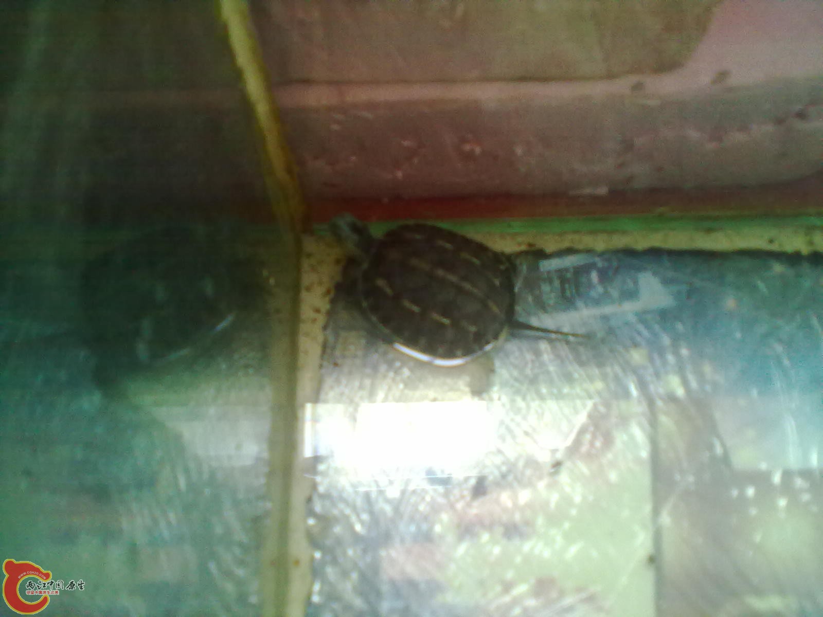 20130716083.jpg