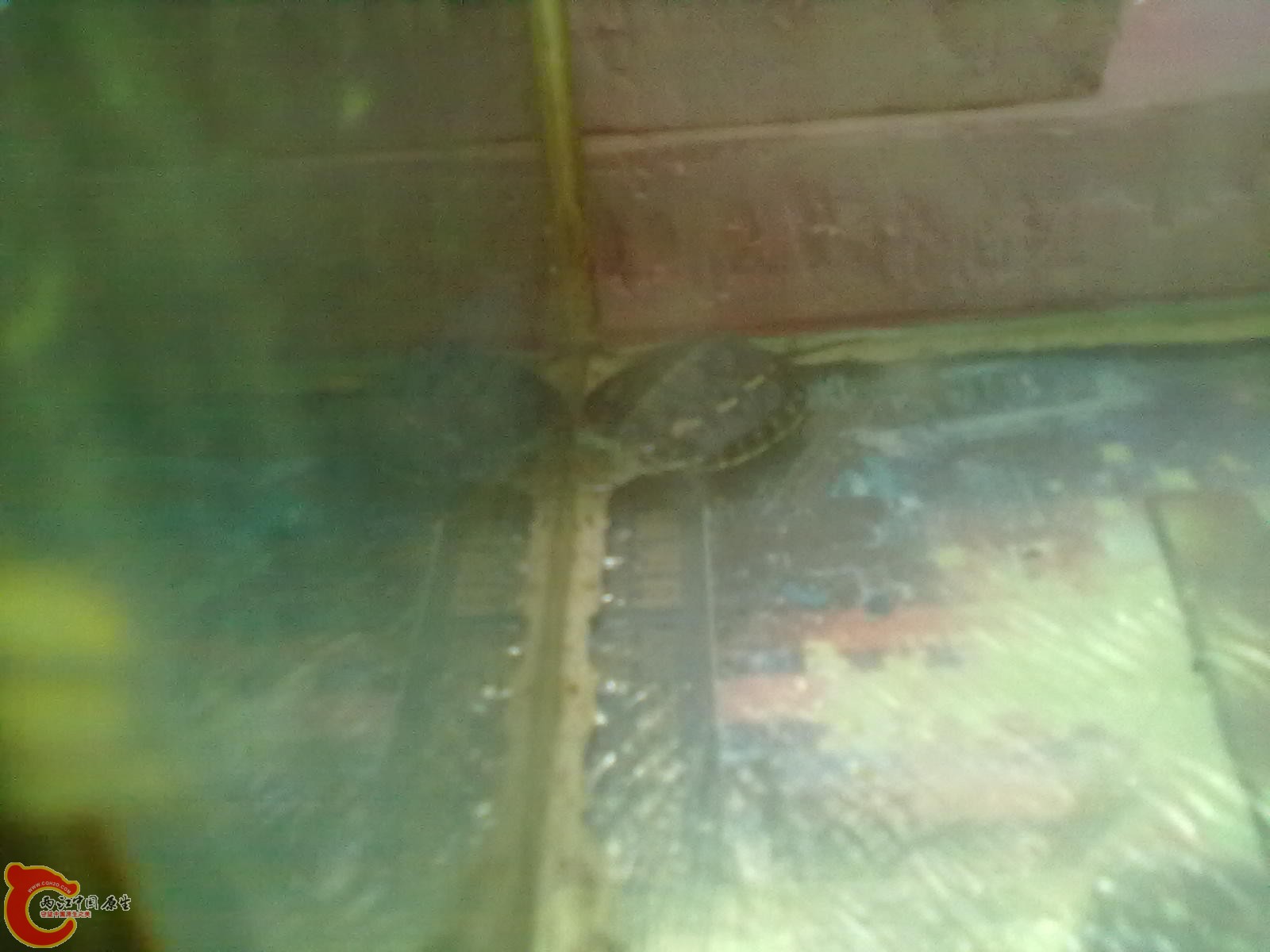 20130716084.jpg