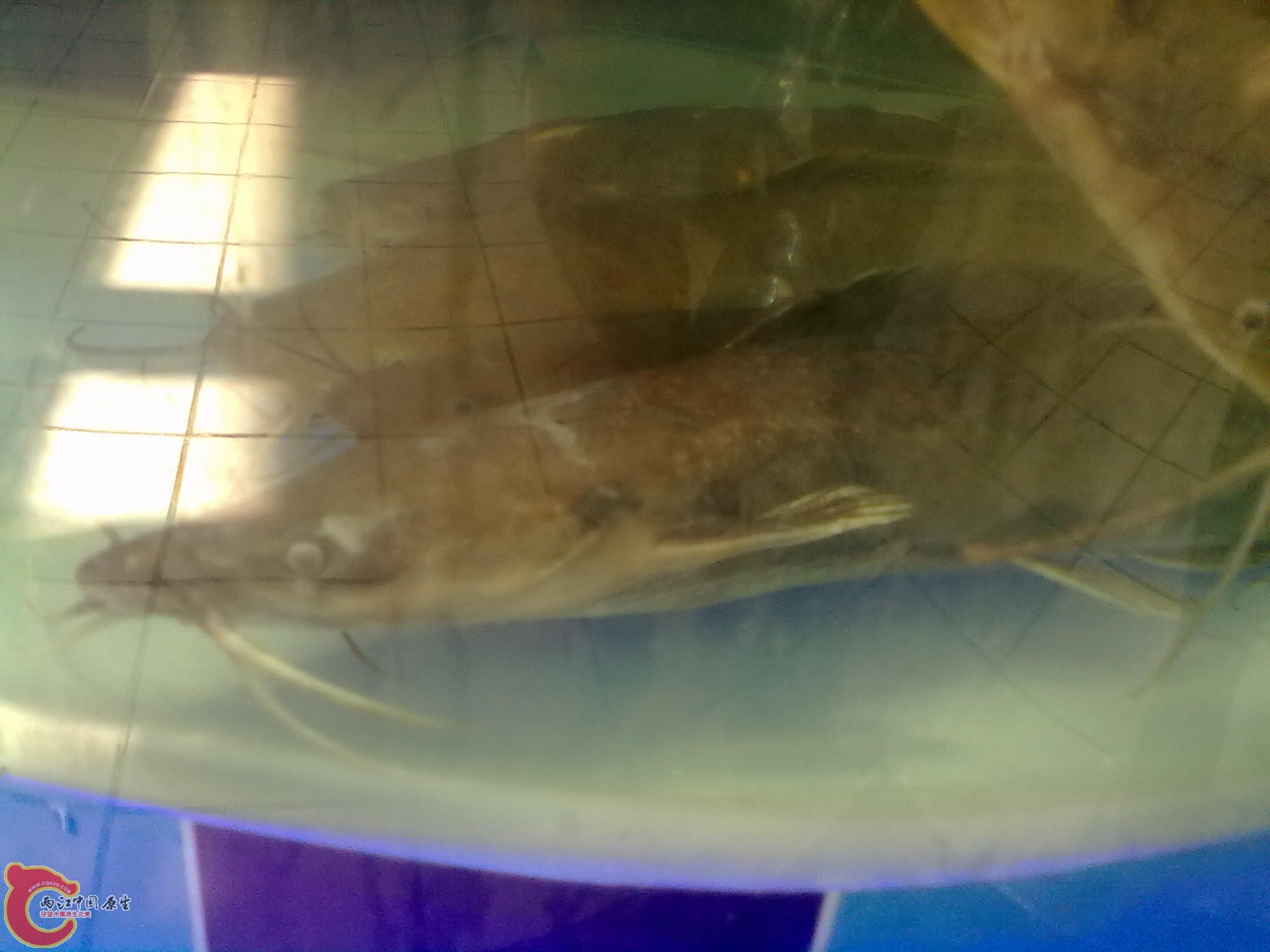 201307162538.jpg