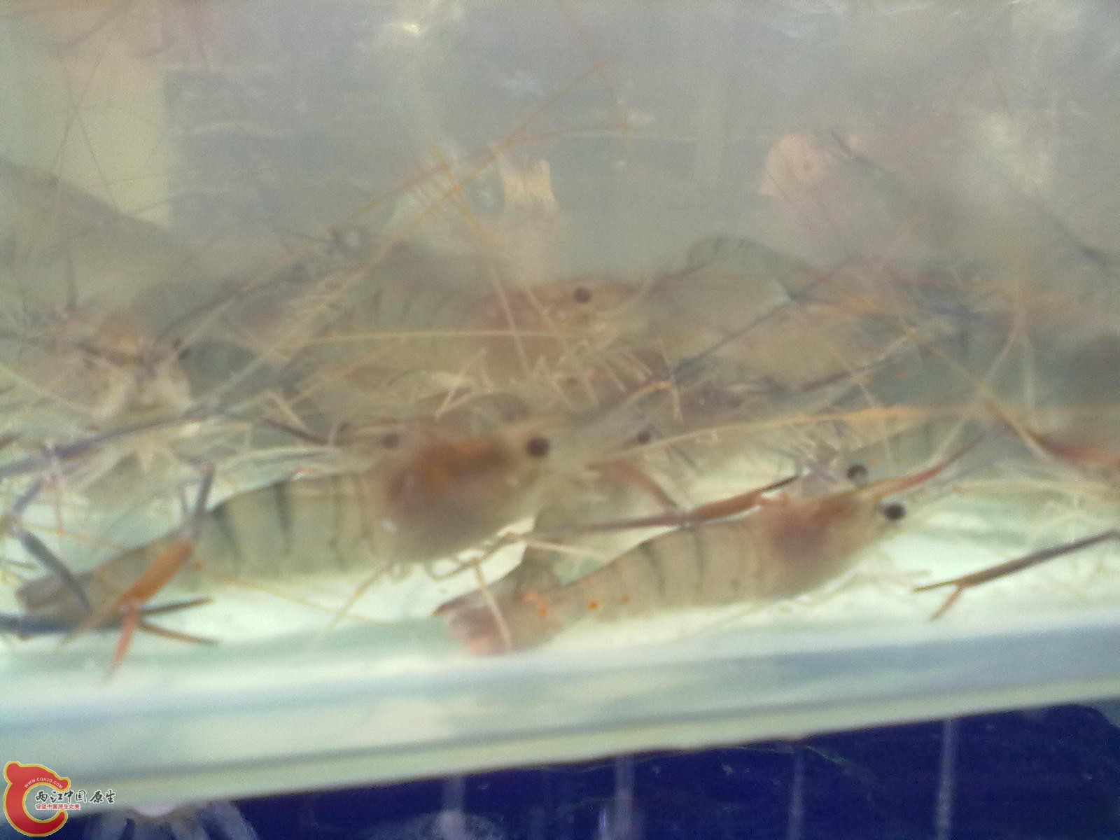 201307162542.jpg