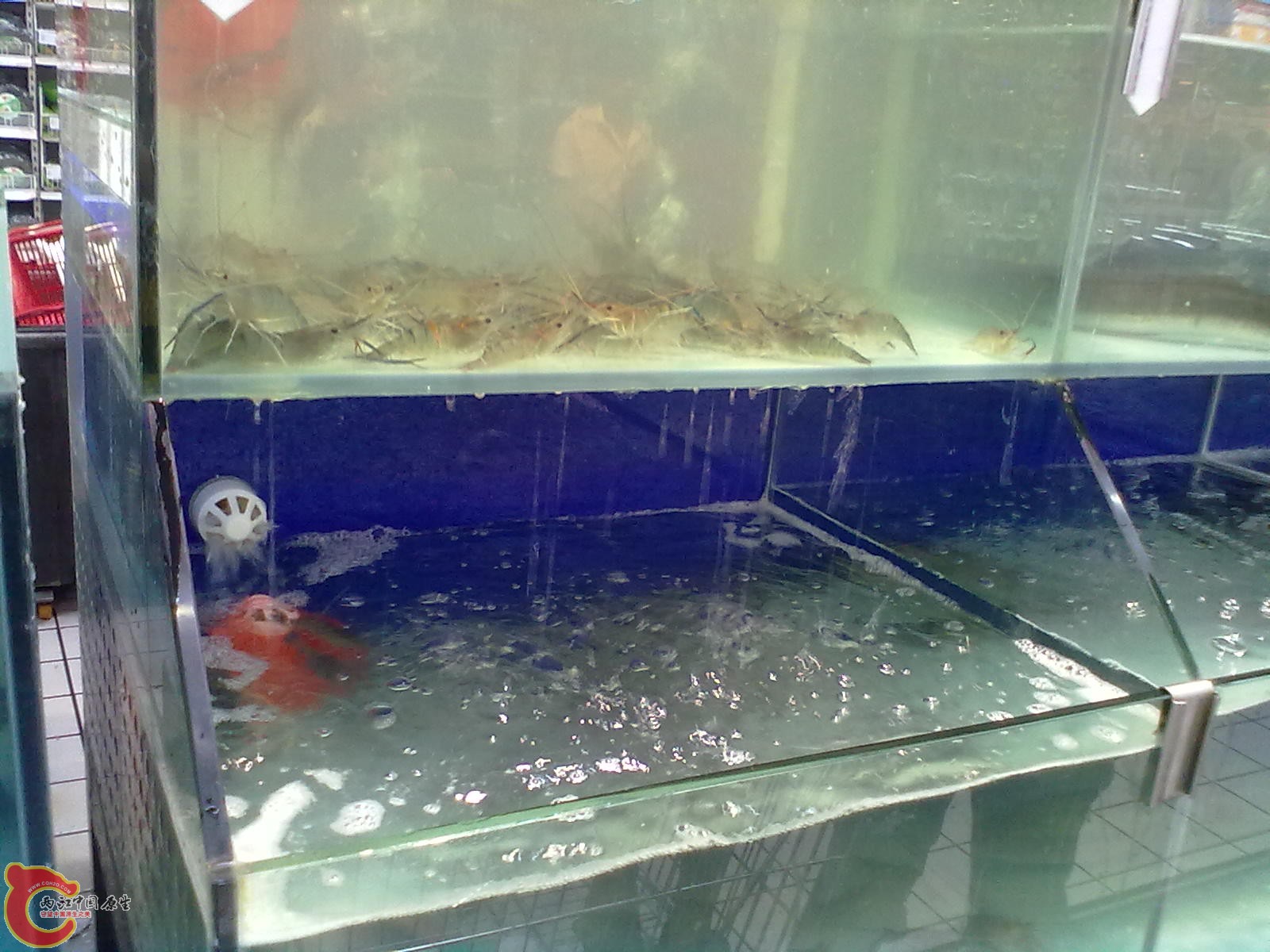 201307162543.jpg