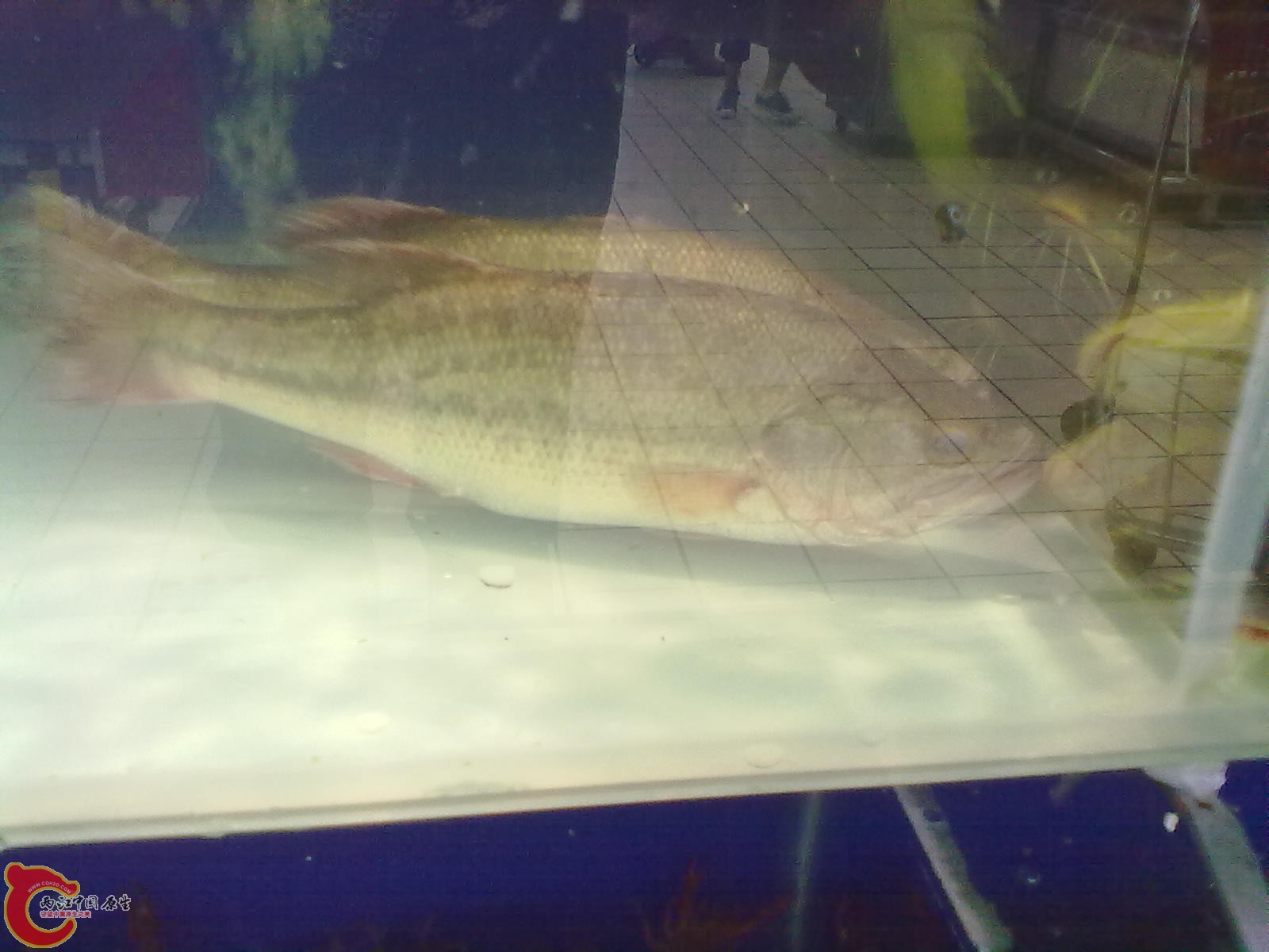 201307162545.jpg