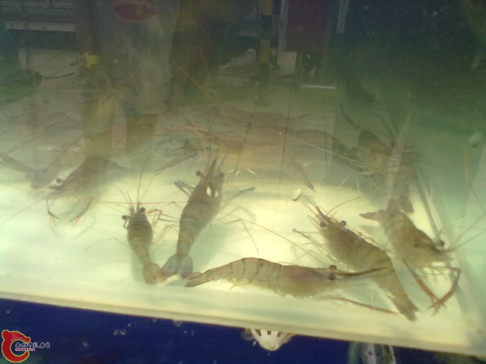 201307162546.jpg