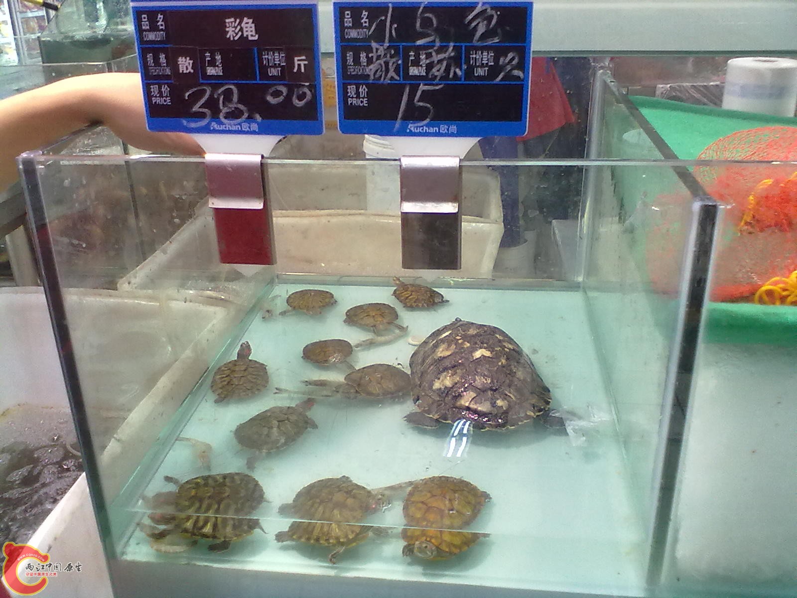 201307162553.jpg