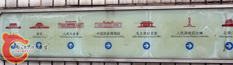 IMG_8036_副本.jpg