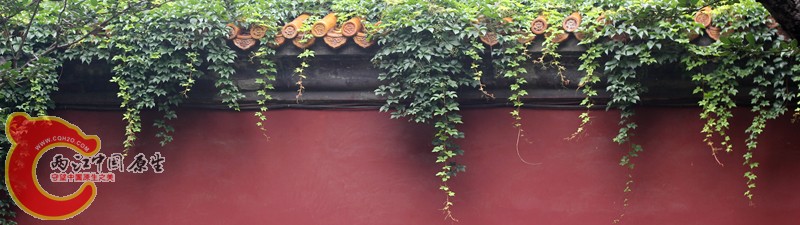 IMG_8123_副本.jpg