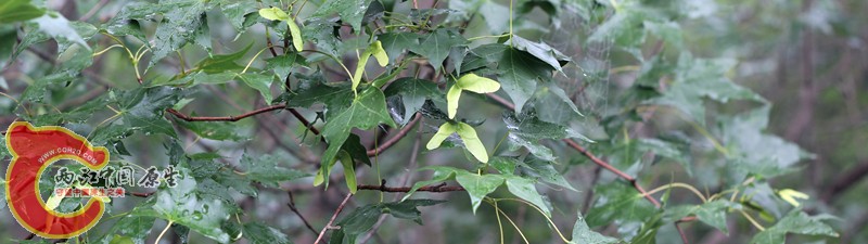 IMG_8954_副本.jpg