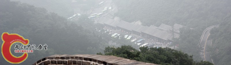 IMG_8985_副本.jpg