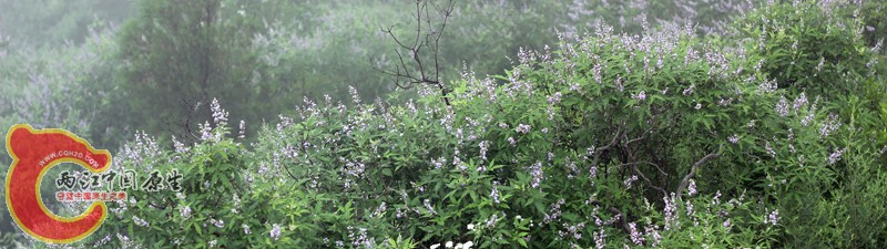 IMG_8947_副本.jpg