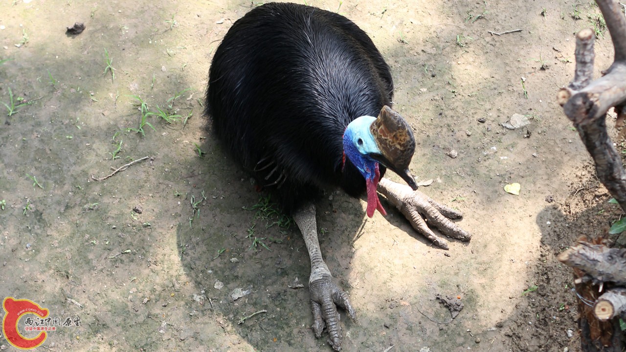 IMG_8620_副本.jpg