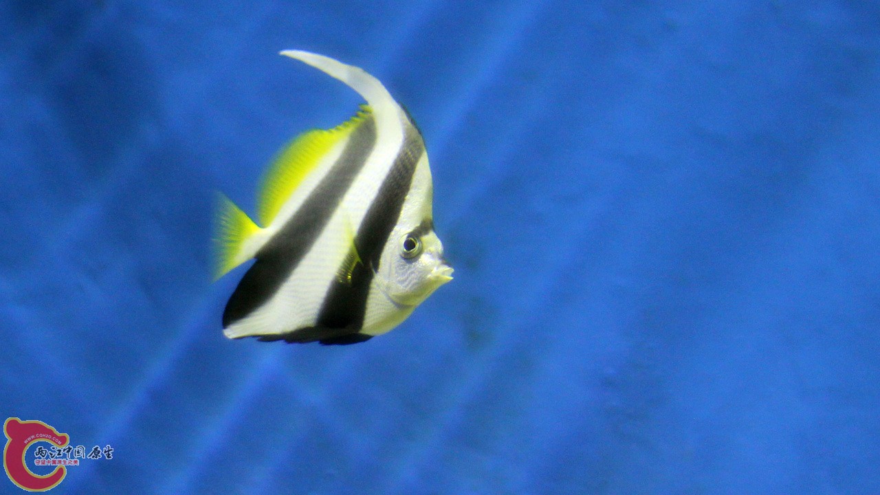 IMG_8517_副本.jpg