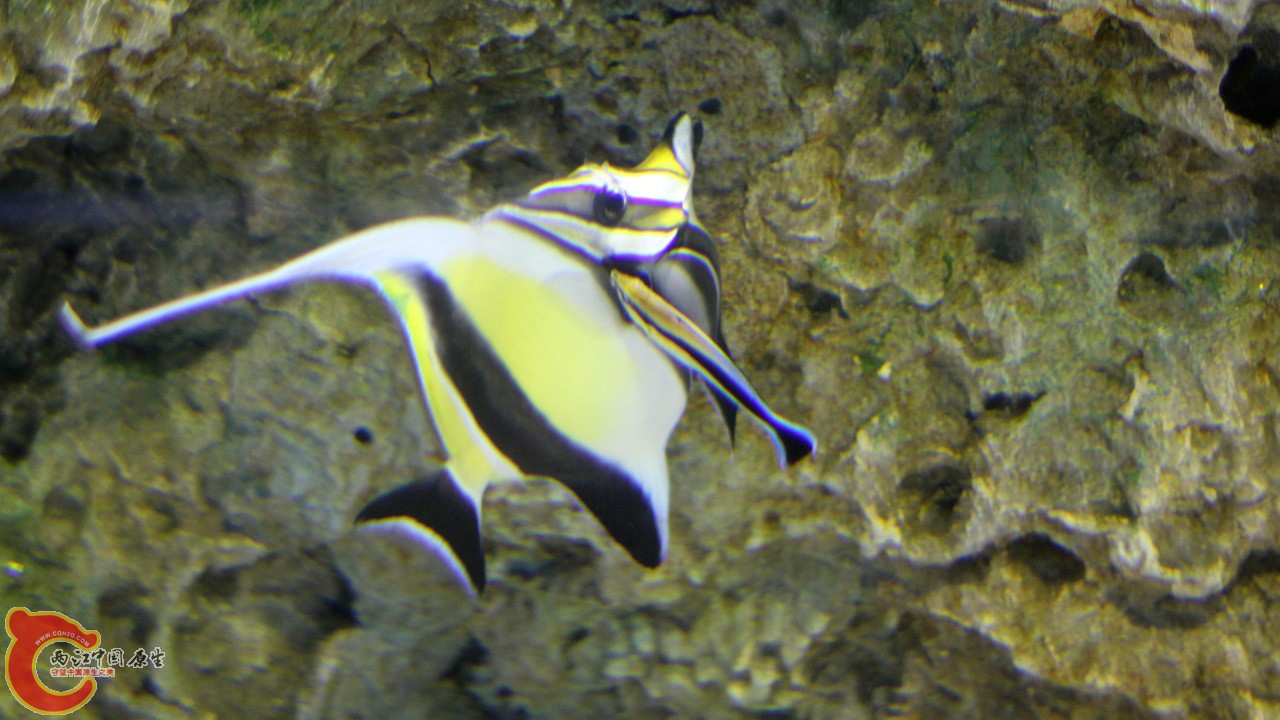 IMG_8523_副本.jpg