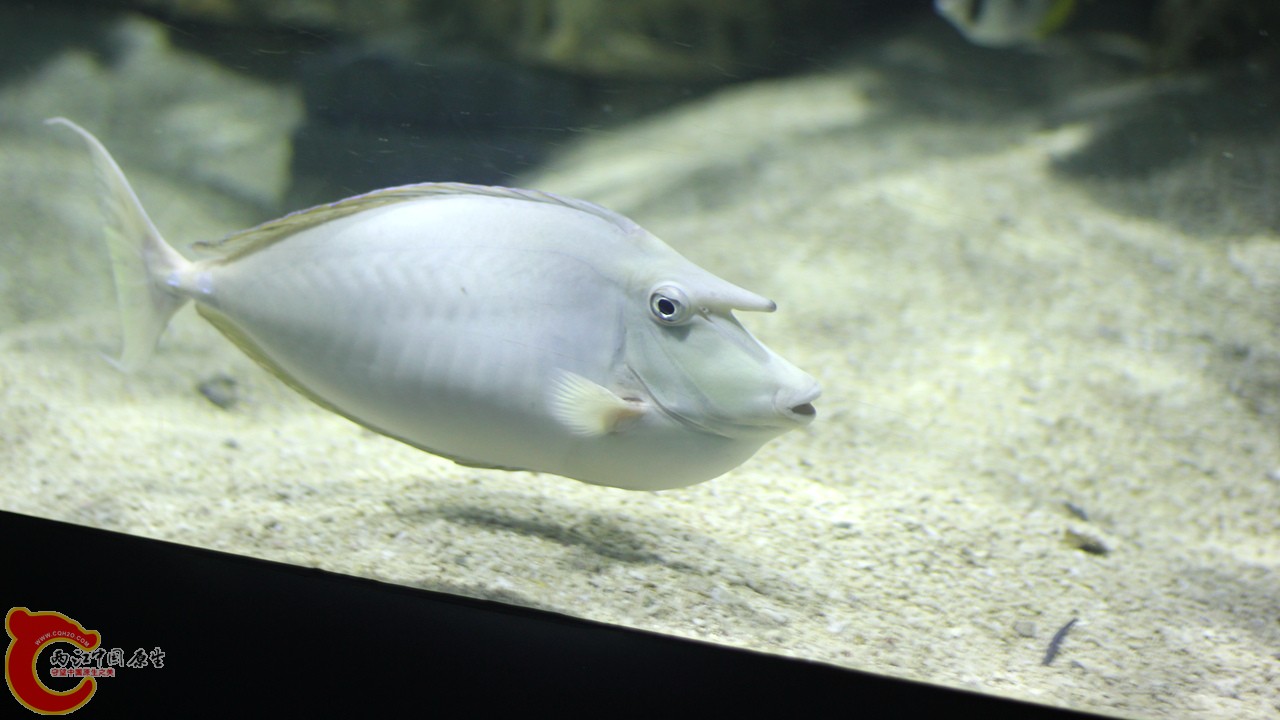 IMG_8529_副本.jpg