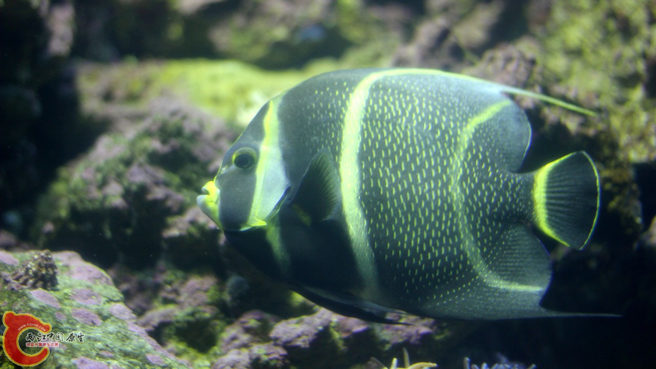 IMG_8562_副本.jpg