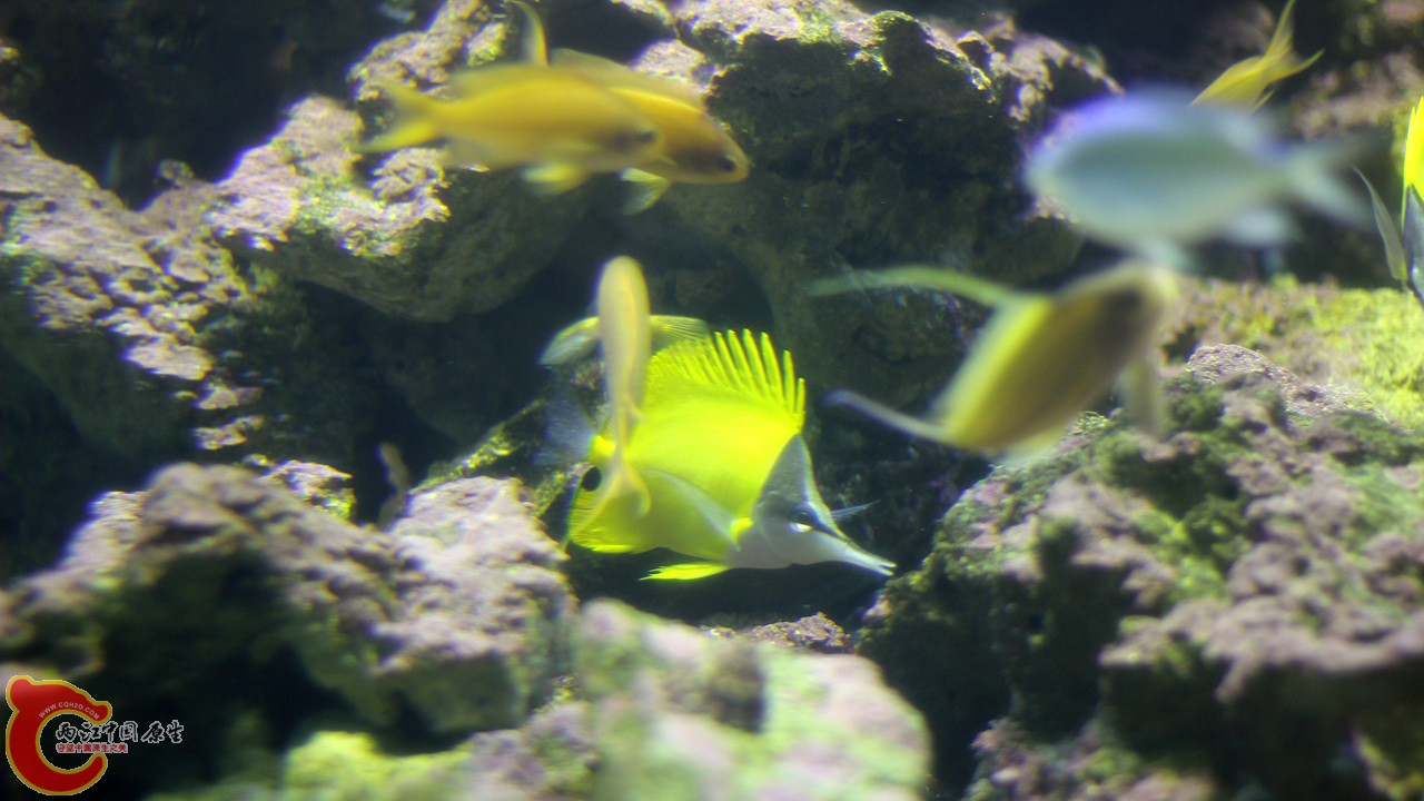 IMG_8571_副本.jpg