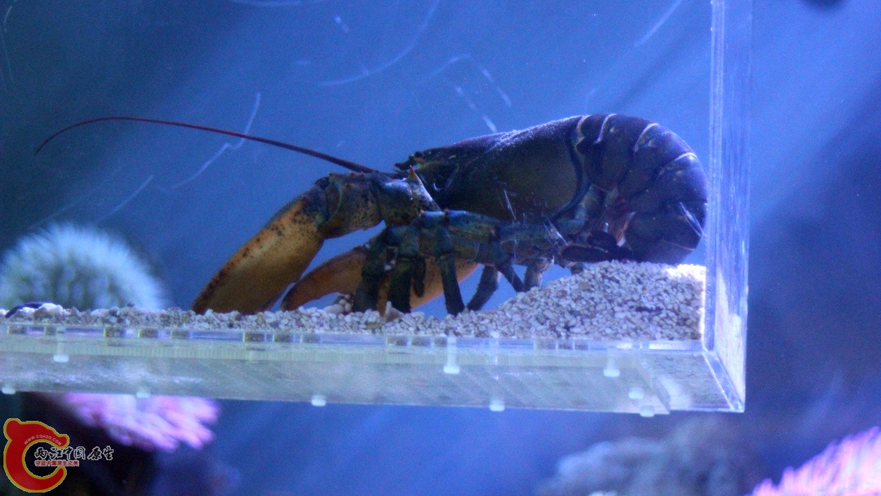 IMG_8493_副本.jpg