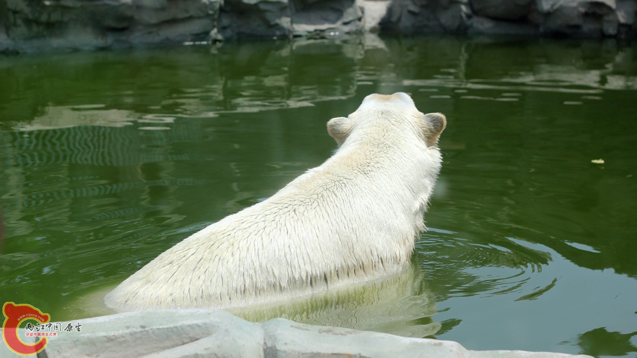 IMG_8363_副本.jpg