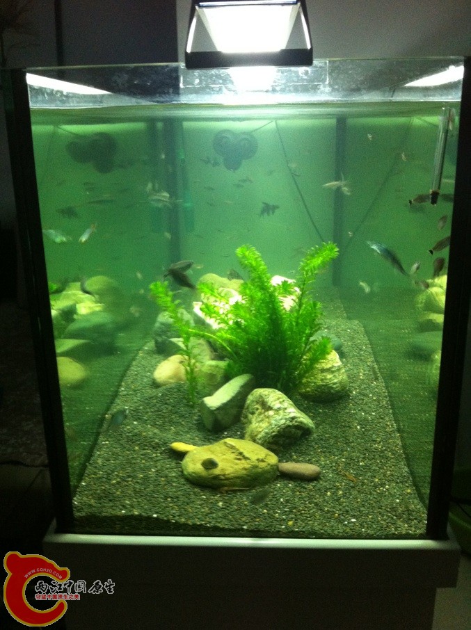 侧面看有侧面的感觉哦~