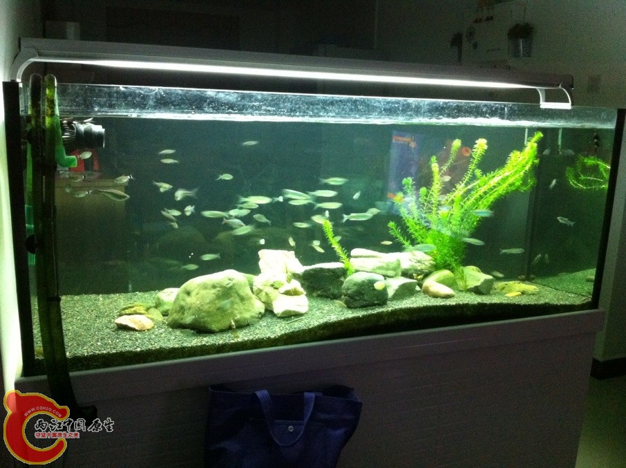 现在成景以后的样子，里面现在