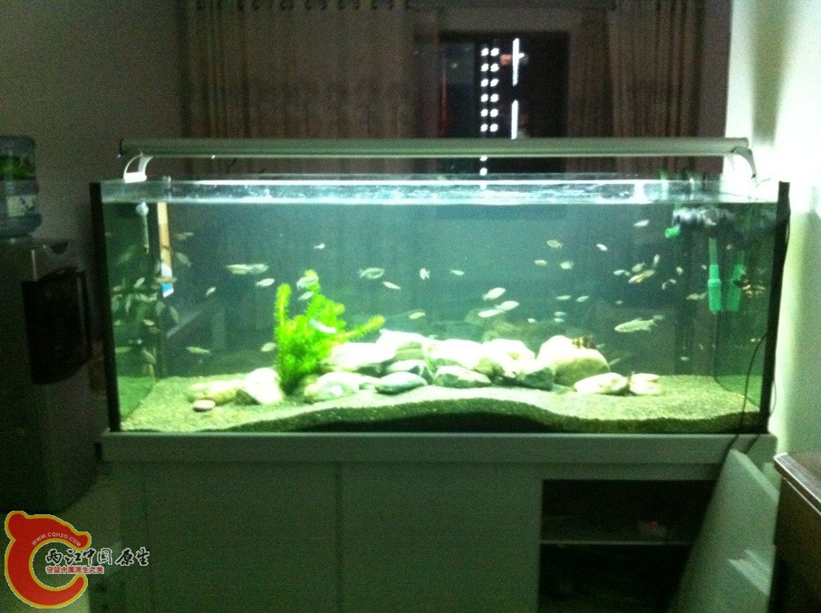 整体感觉还是不错滴