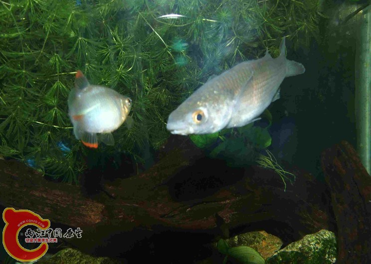 QQ图片20130720231333.jpg