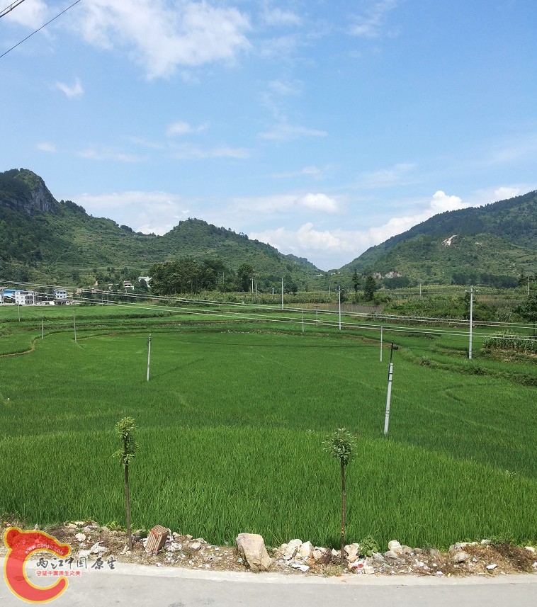 20130720_142757.jpg