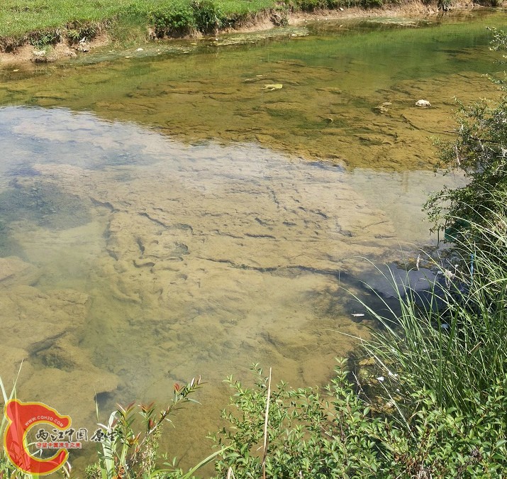 20130720_150138.jpg