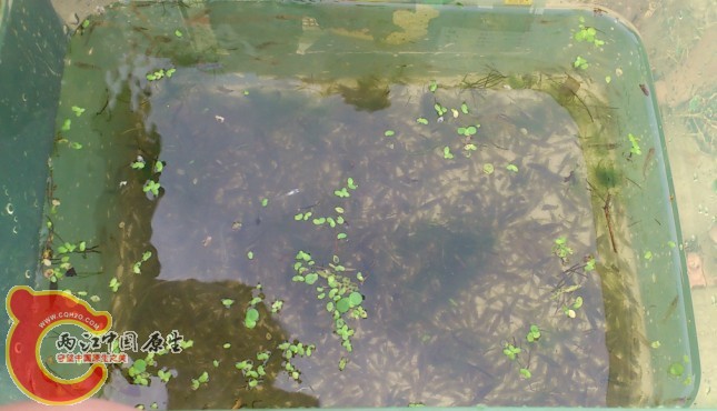 QQ图片20130721200636.jpg