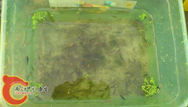 QQ图片20130721200649.jpg