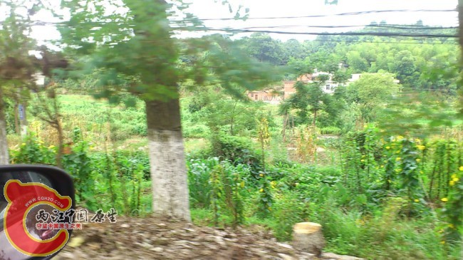 QQ图片20130721201706.jpg