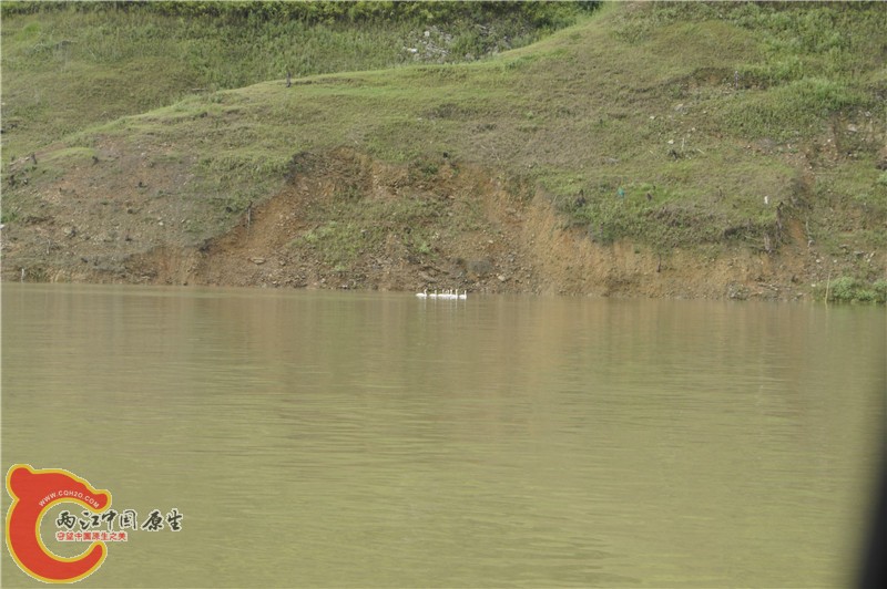 _DSC8300.jpg