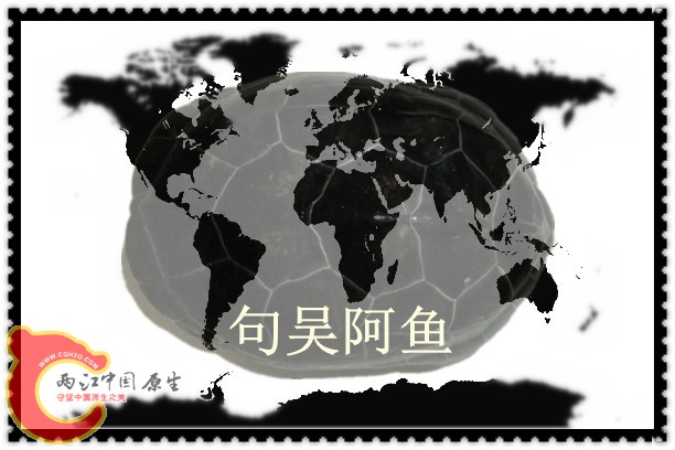 搜狗截图13年07月21日2109_2_副本.jpg