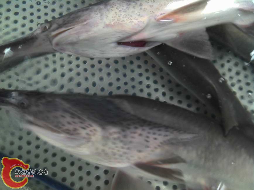 2013-07-06_11-15-59_127.jpg