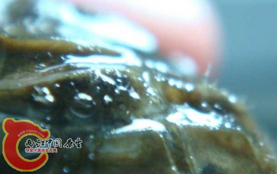 搜狗截图13年07月23日2304_2.jpg
