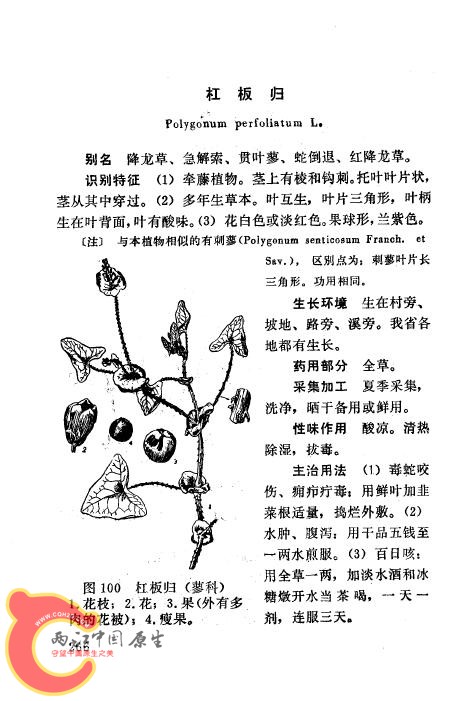B0811000122_278.jpg