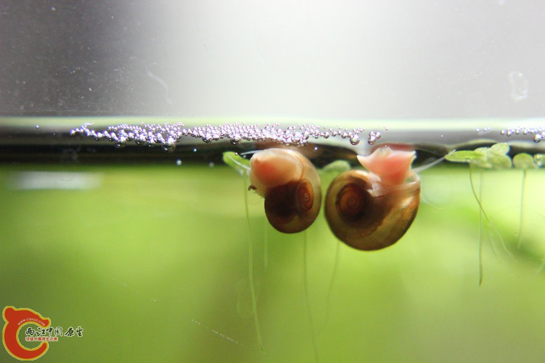 IMG_9335_副本.jpg
